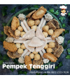 01_pempek_tenggiri